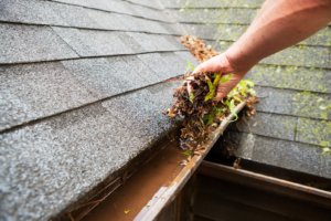 Performing Gutter Cleaning Service on Alexandria, VA Residence